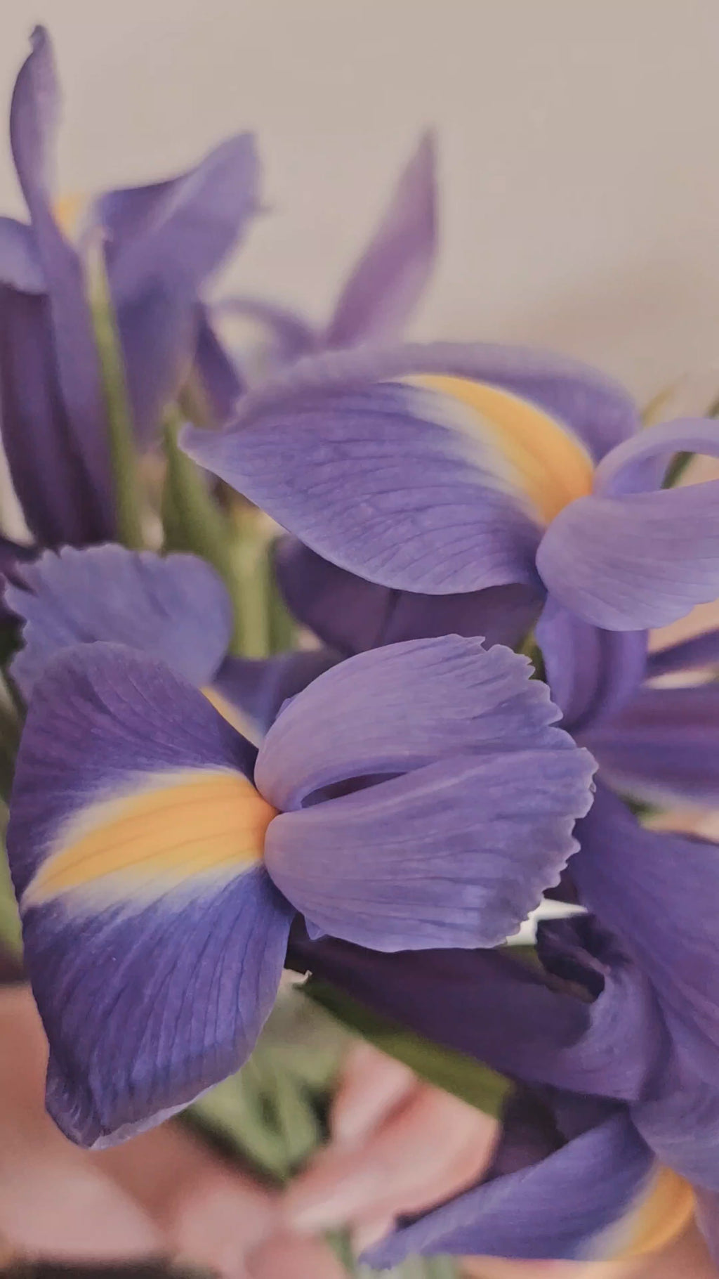 Iris and Bee Heart Necklace